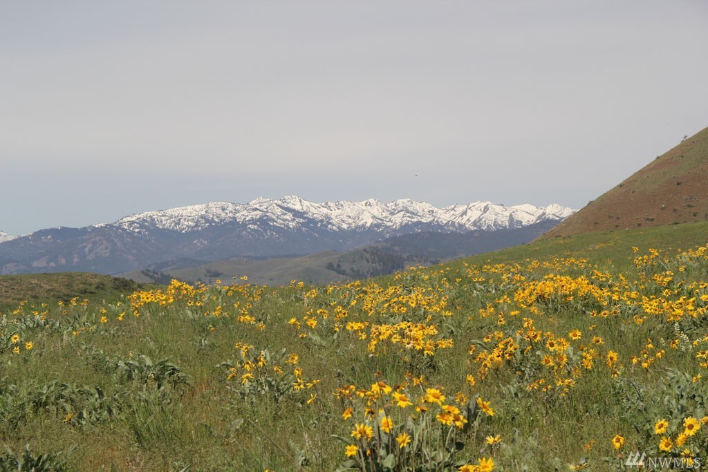 Property Photo: 134 Cap Wright Rd WA 98856