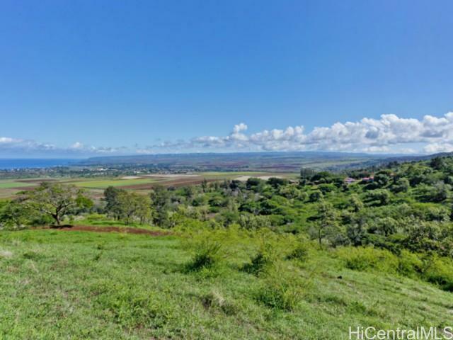 67-290 Farrington Highway 2  Waialua HI 96791 photo