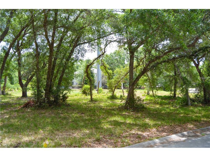 Property Photo:  0 Hammock Circle  FL 34688 