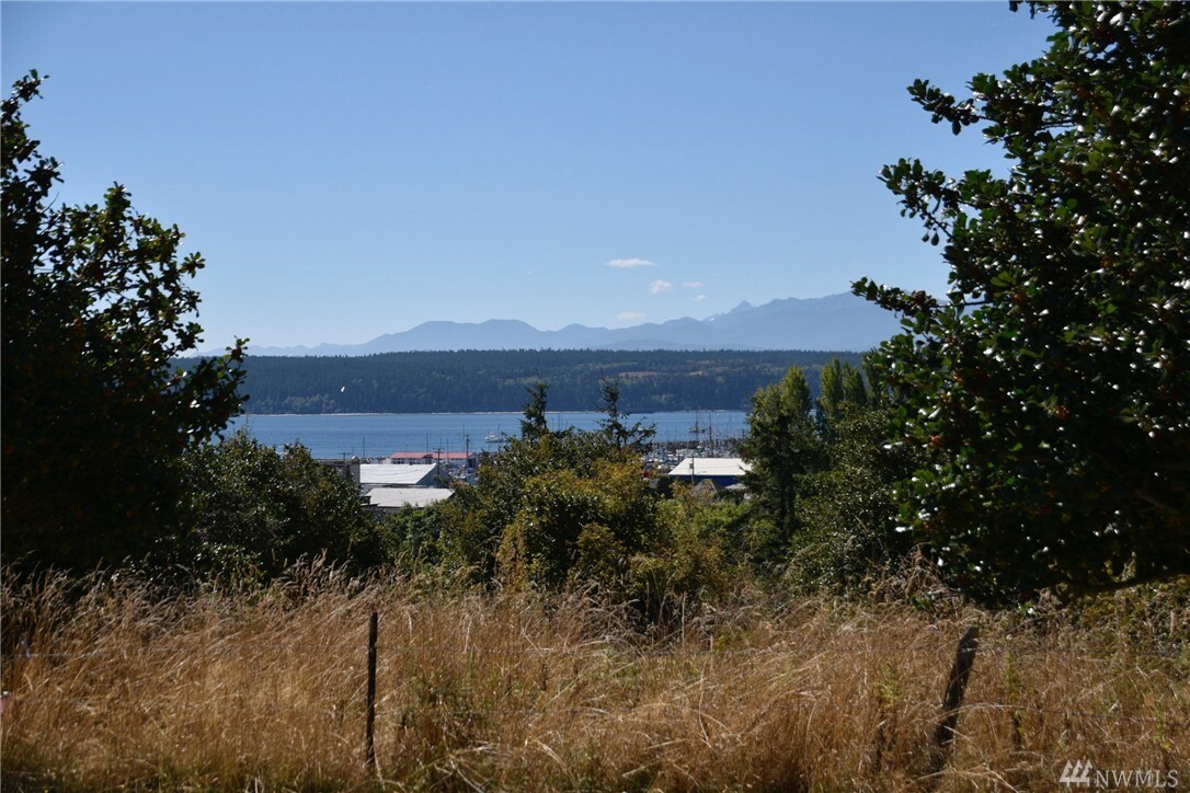 Property Photo:  549 Scott St  WA 98368 