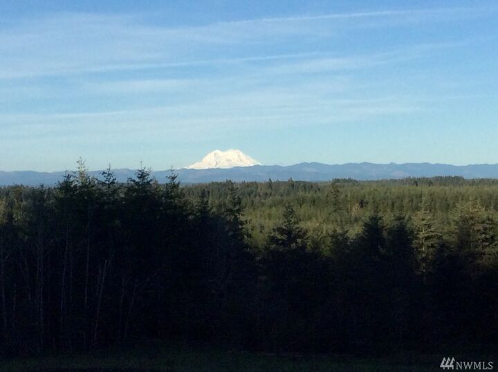 Property Photo: 990 -05 Brown Rd WA 98532