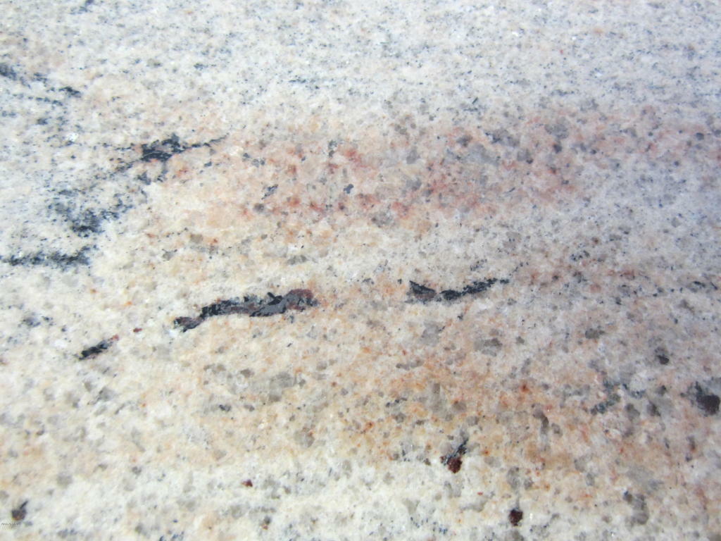 Property Photo: 17017 N 12th Street 2011 AZ 85022