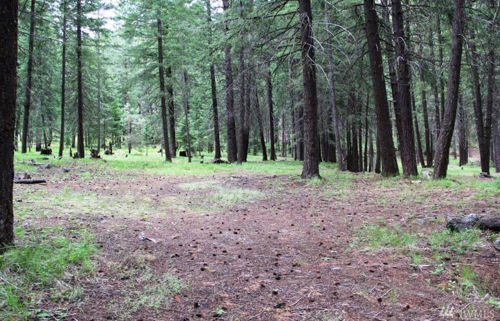 Property Photo:  578 Lost River Rd  WA 98833 