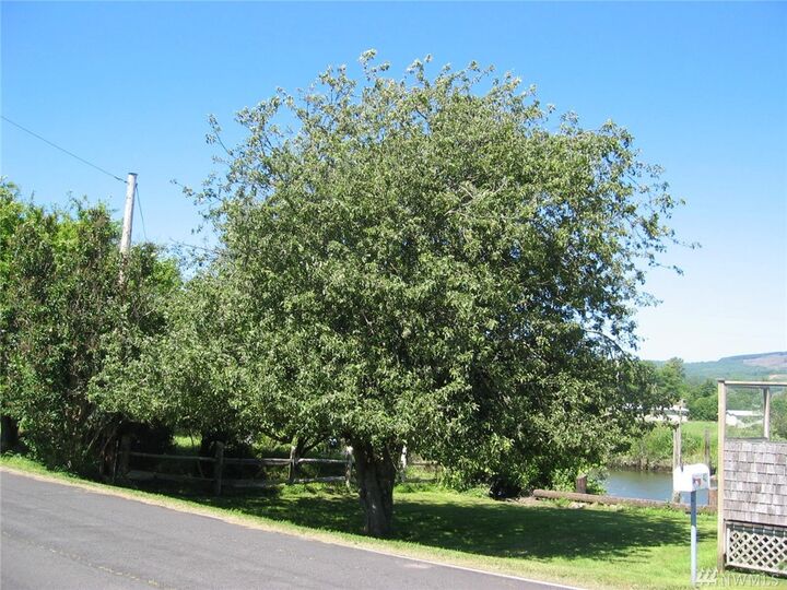 Property Photo:  42 S Welcome Slough Road  WA 98612 