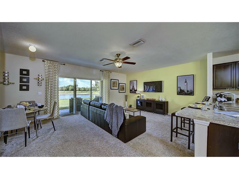 Property Photo: 12907 Shady Fern Drive FL 33534