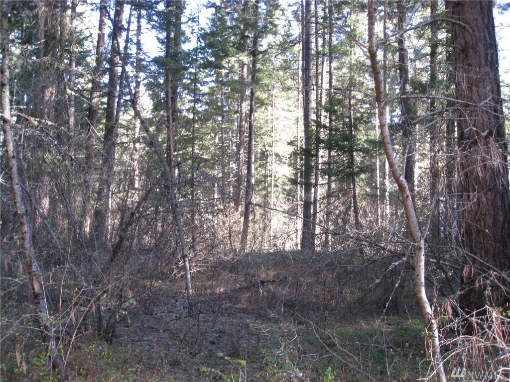 Property Photo: Lot 128 Troon Ct WA 98922