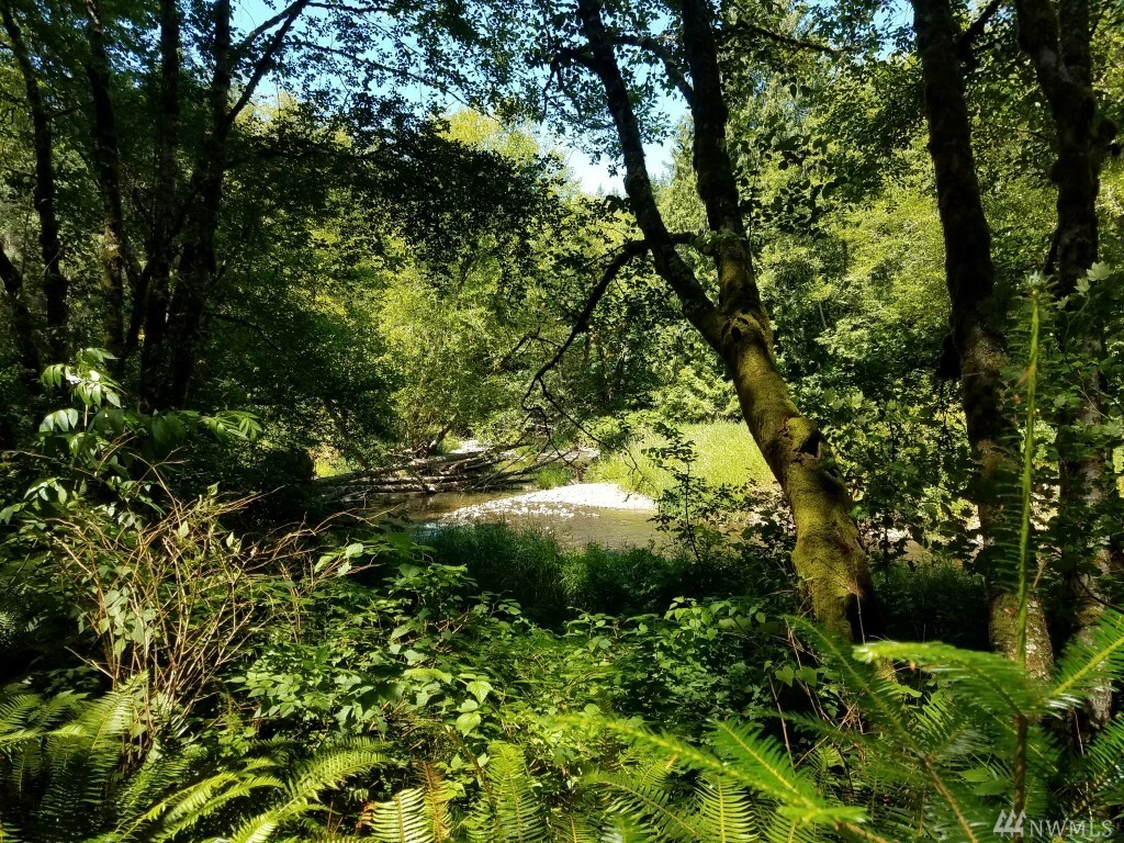 Property Photo:  Xxx North Fork Rd  WA 98532 