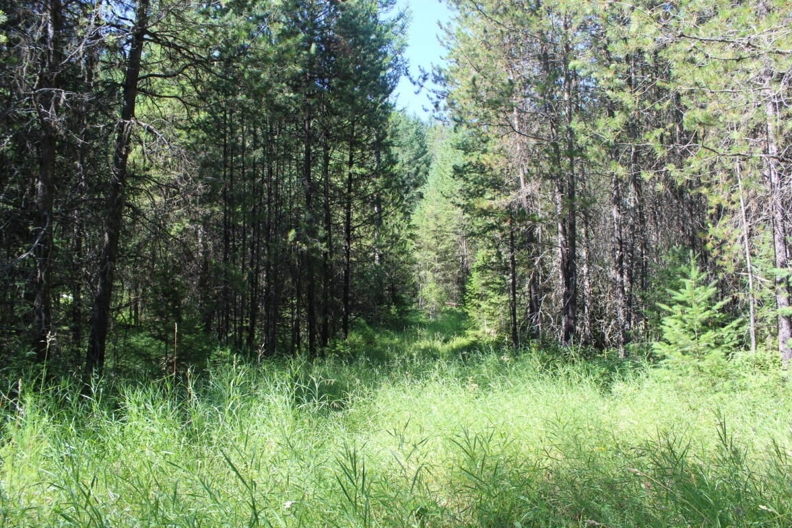 Property Photo: 342 B Hwy 20 E WA 99114