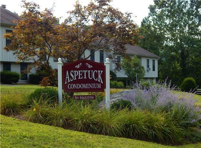 Property Photo:  189 Aspetuck Village 189  CT 06776 