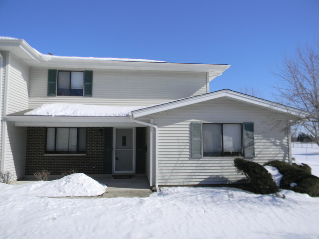 Property Photo:  1113 Perth Drive 1113  IL 60194 