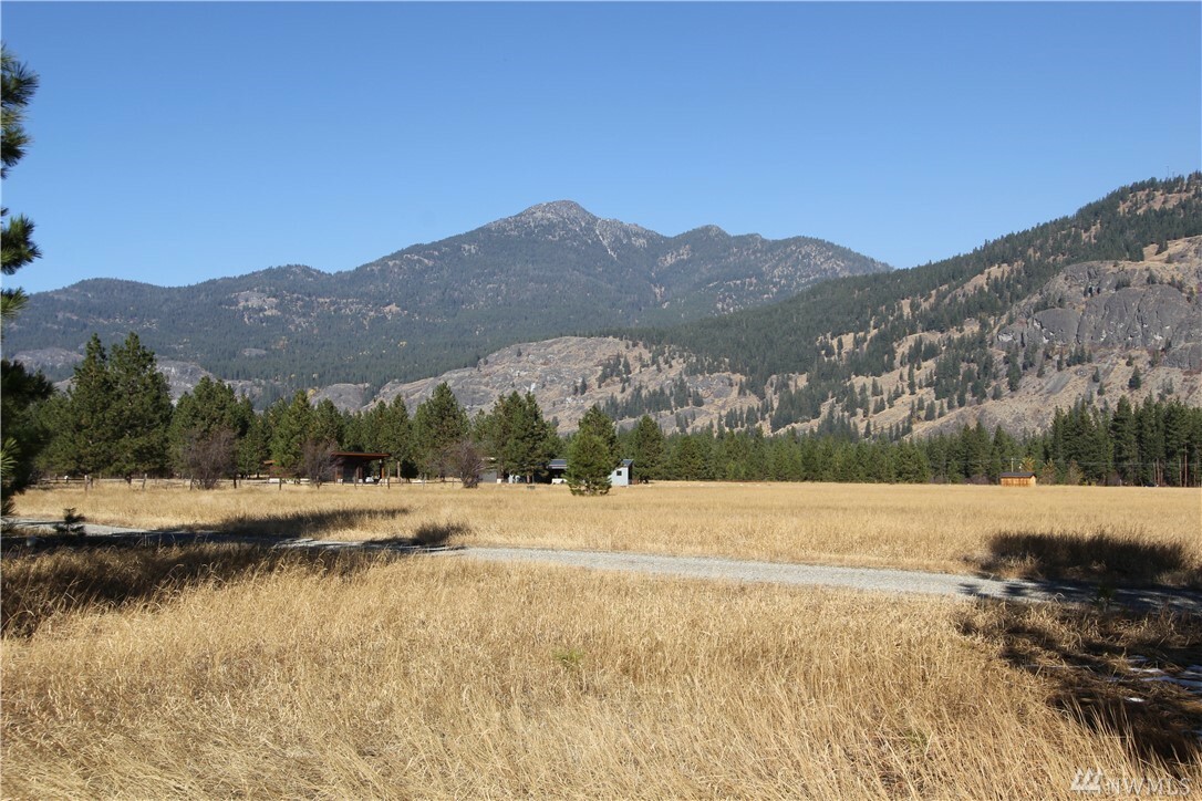 Property Photo:  10 Mazama Springs Wy  WA 98833 