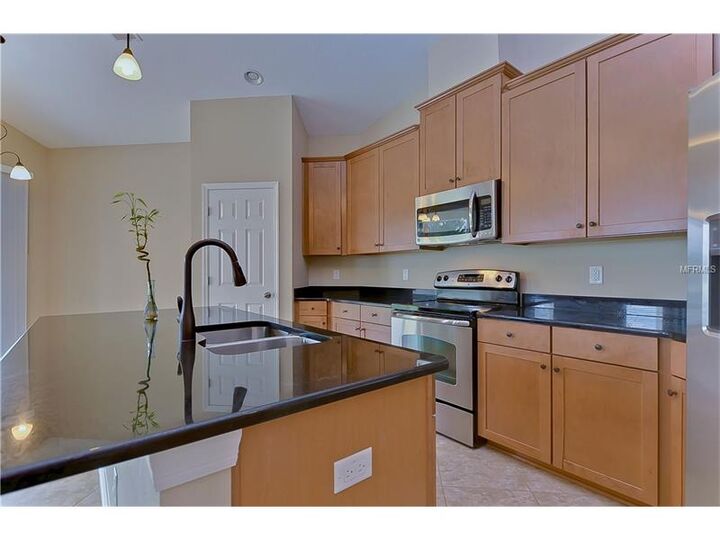 Property Photo:  10618 Pictorial Park Drive  FL 33647 