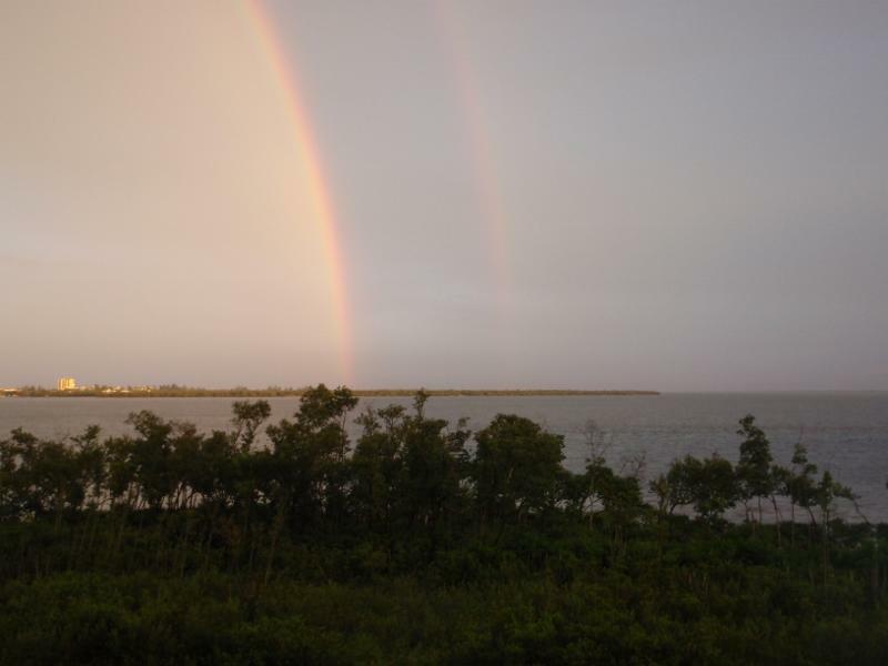 Property Photo: 25 W Harbour Isle Drive W 303 FL 34949