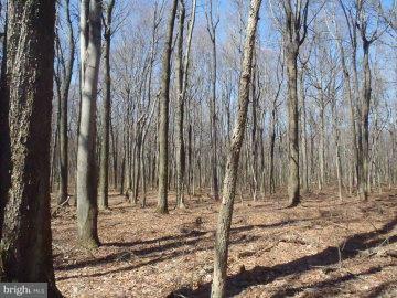 Property Photo:  0 South Mountain  PA 17042 