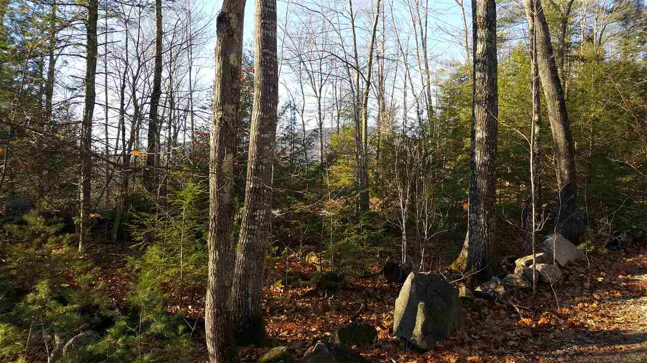 Property Photo: 0000 Elm Hill Road NH 03227
