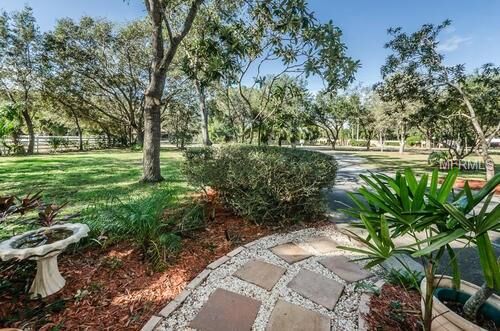 Property Photo: 1691 Ridge Top Drive FL 34688