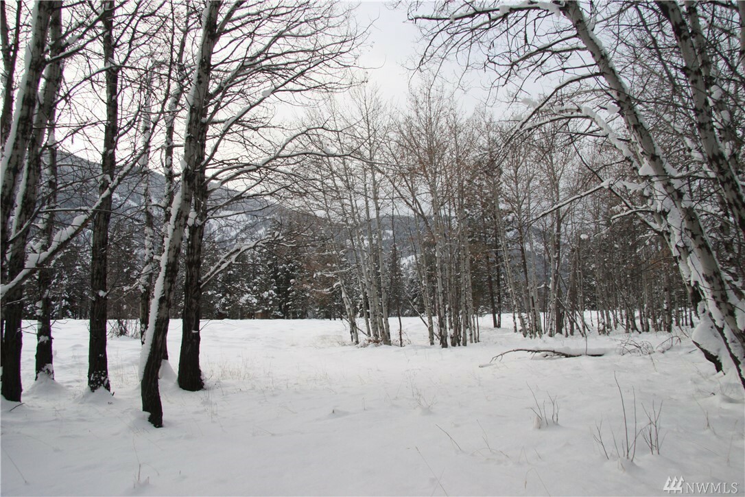 Property Photo:  488 Goat Creek Rd  WA 98833 