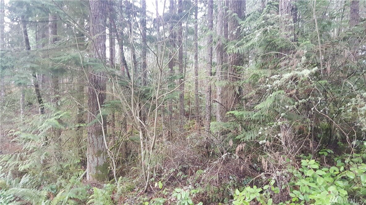 Property Photo:  22215 Bluewater Dr SE  WA 98597 