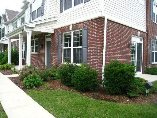 Property Photo: 1007 Bradford Drive 1007 IL 60563