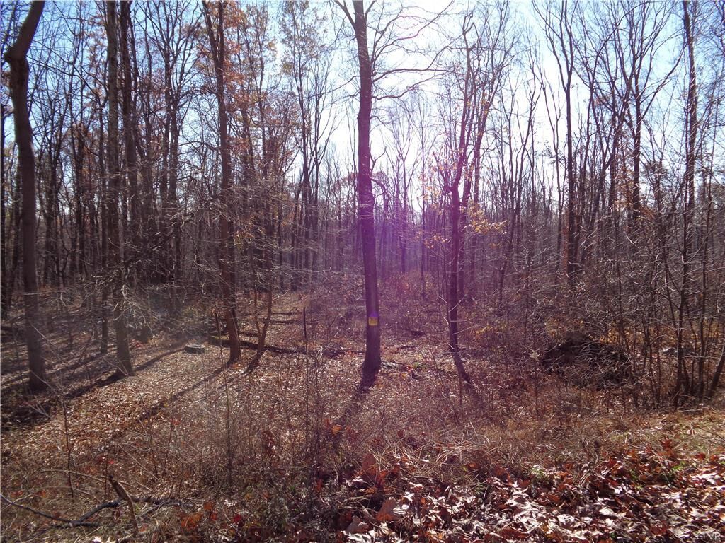 Property Photo:  W 8th Street  PA 18091 