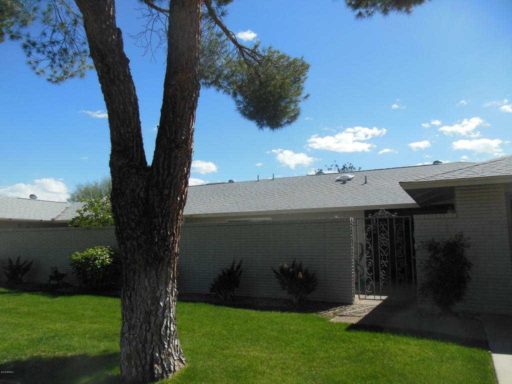 Property Photo:  12507 W Brandywine Drive  AZ 85375 