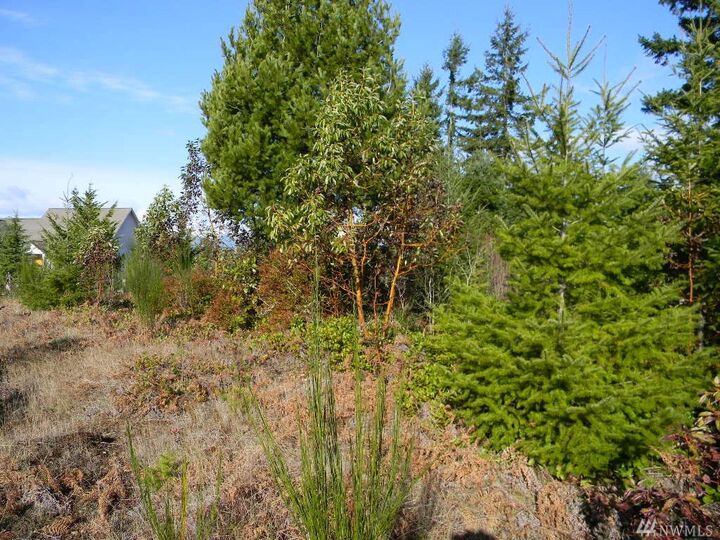 Property Photo:  15  Air Castle Lane  WA 98528 