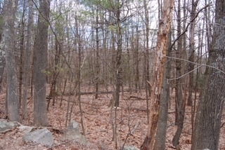 Property Photo: Strafford Road NH 03825