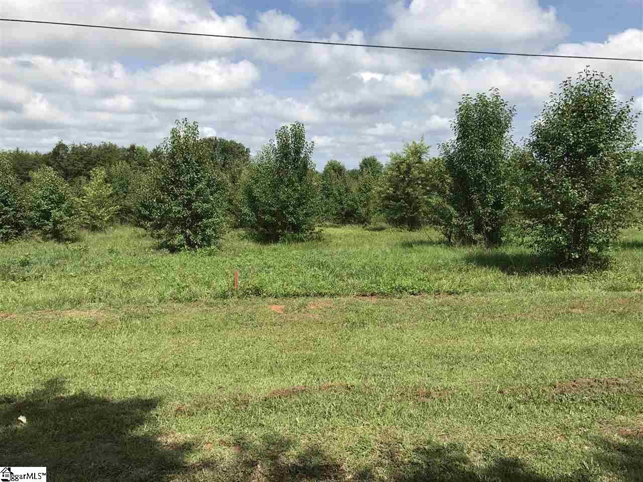 Property Photo:  00 Burns Hill Road  SC 29657 