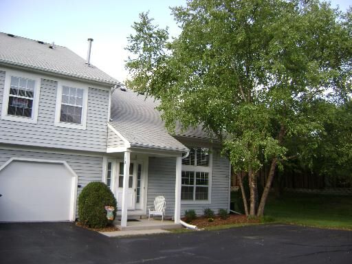 Property Photo:  113 Hazelnut Drive 113  IL 60107 