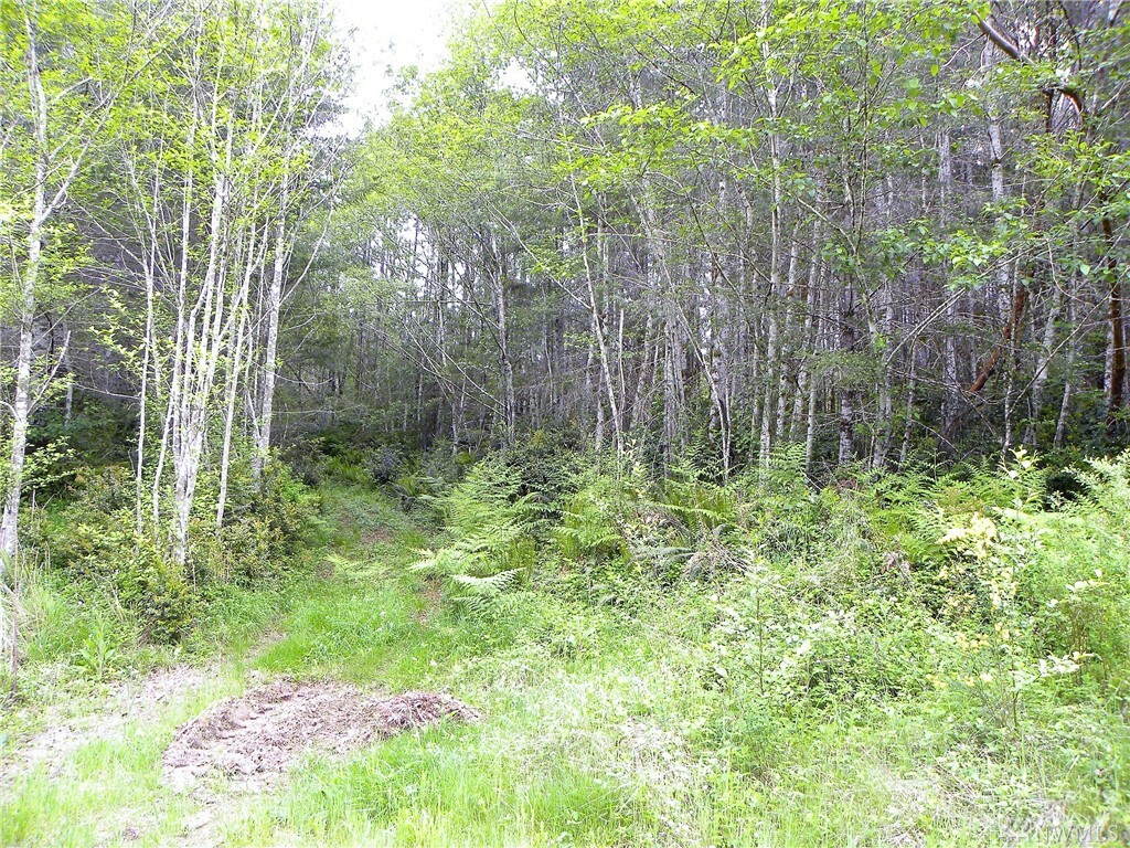 Property Photo:  Lot 29 Joyce Lane  WA 98528 