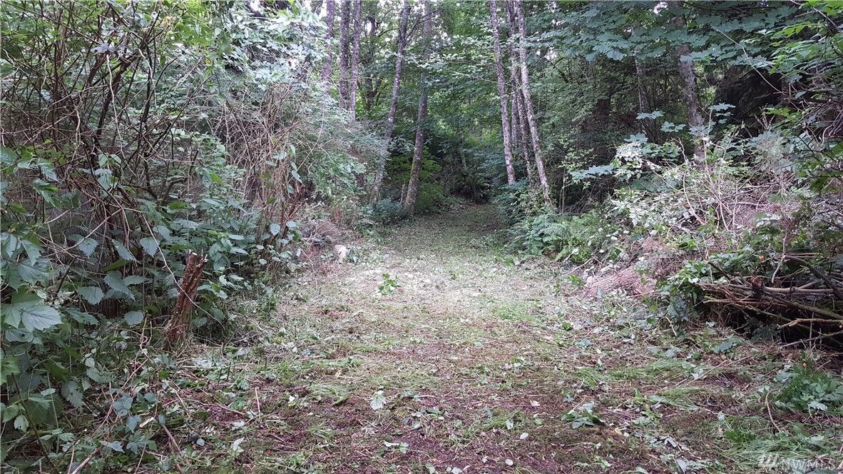 Property Photo:  1 Nhn Turning Leaf Lane  WA 98277 