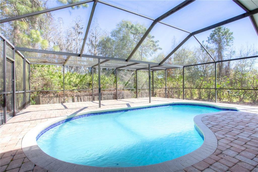 Property Photo:  19011 Weatherstone Drive  FL 33647 