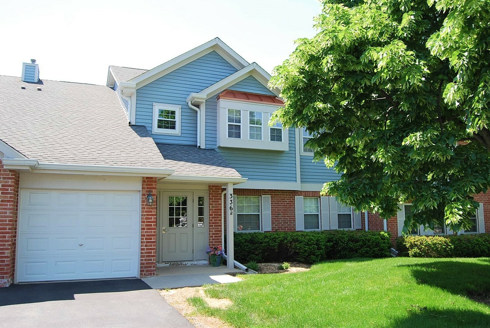 Property Photo:  336 Charlotte Court 3  IL 60193 