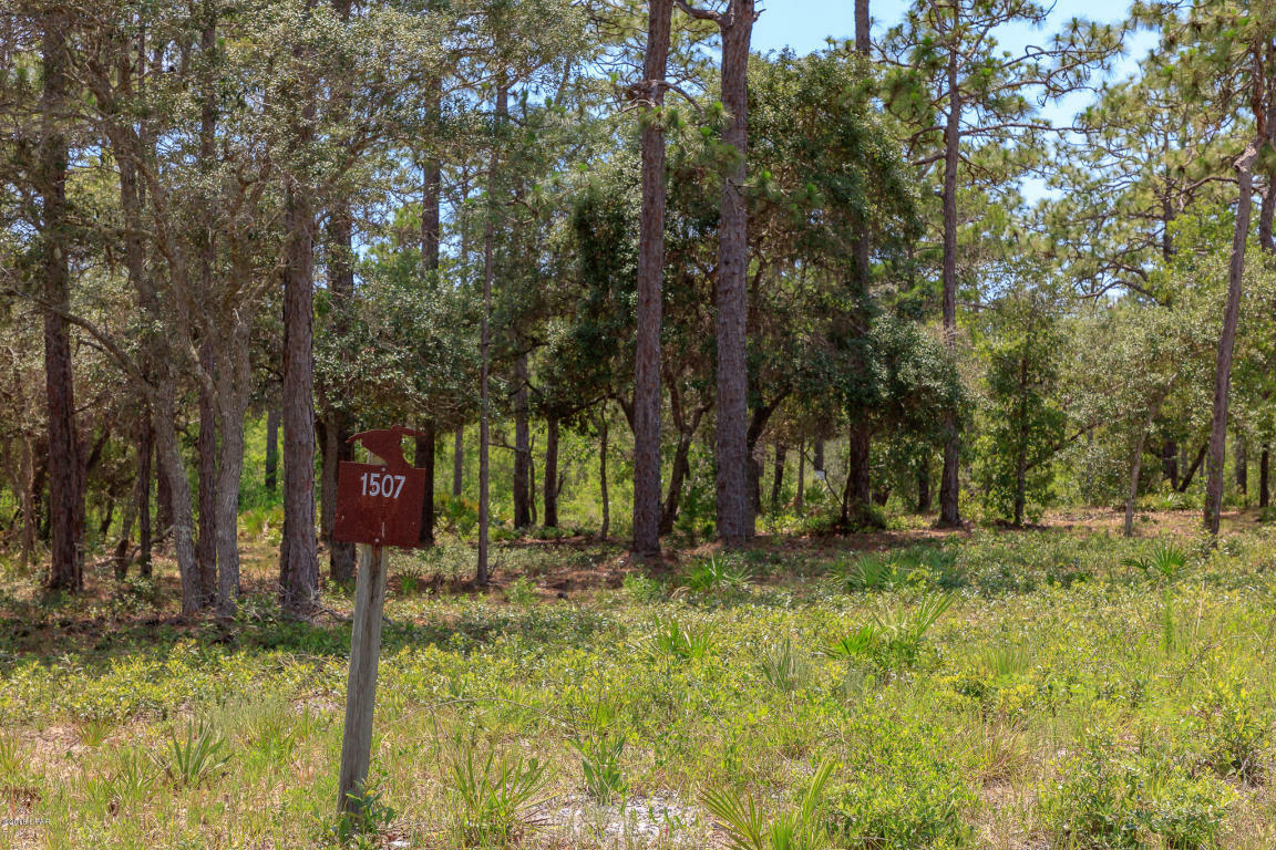 Property Photo:  1507 Marsh Point Lane  FL 32413 