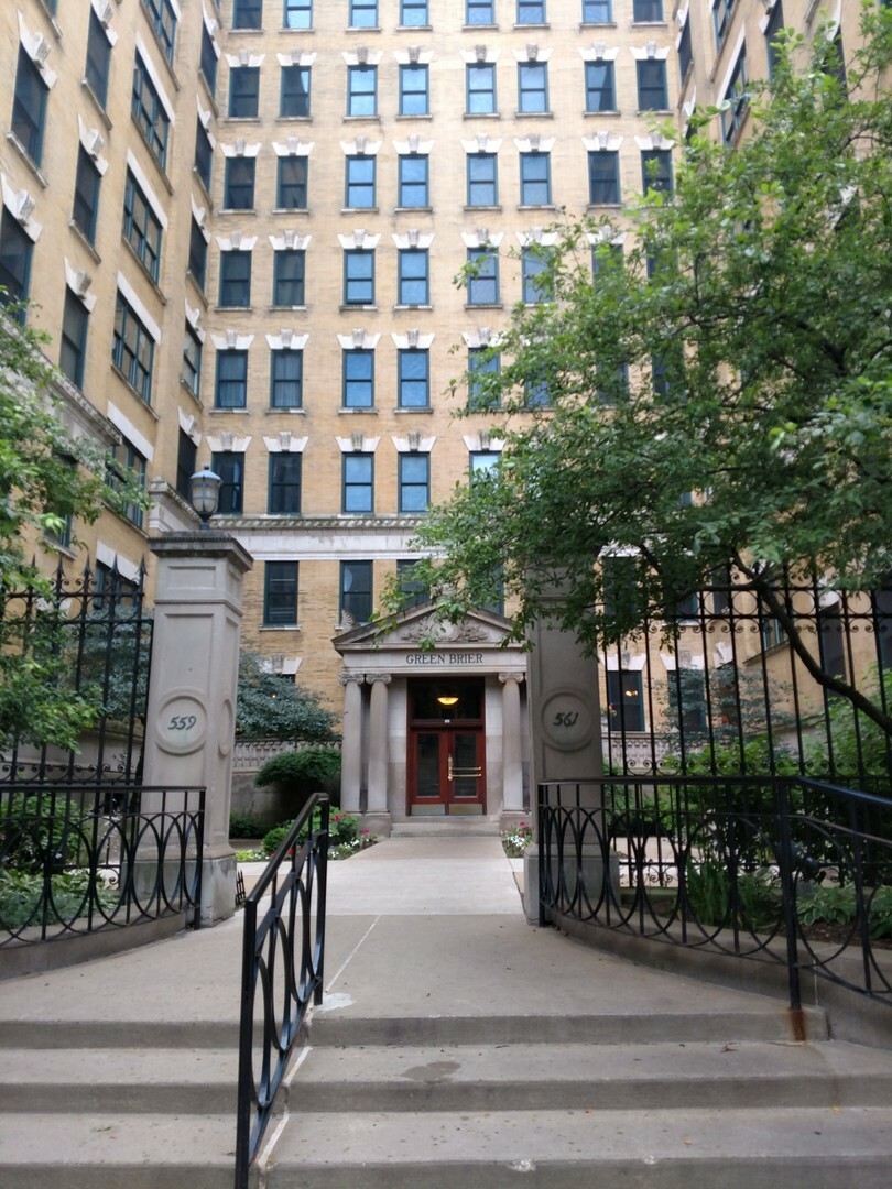 Property Photo: 559 Surf Street 809 IL 60657
