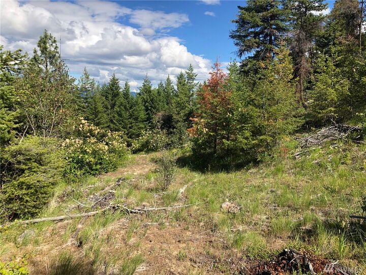 Property Photo:  1111 Rocky Canyon Rd  WA 98855 