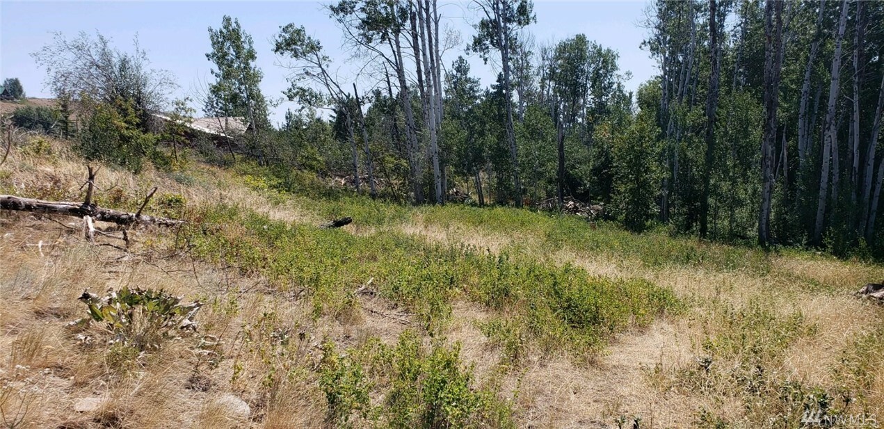 Property Photo:  2 Apple Wy  WA 98862 