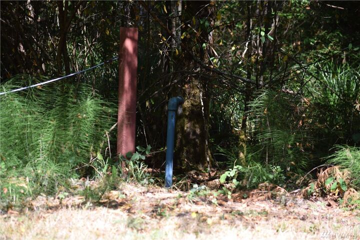 251 E Willapa Rd  Shelton WA 98584 photo