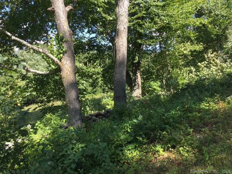 Property Photo:  Lot 1 Davenport Road  CT 06783 