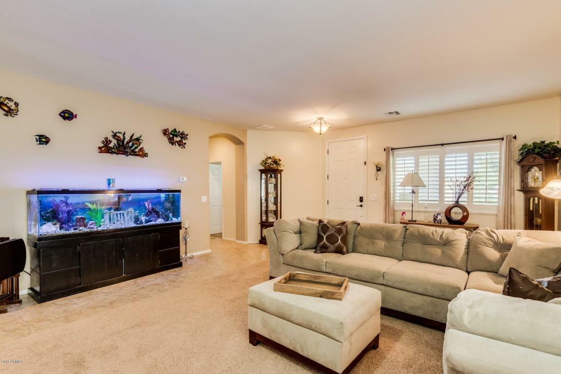 Property Photo:  687 W Dragon Tree Avenue  AZ 85140 