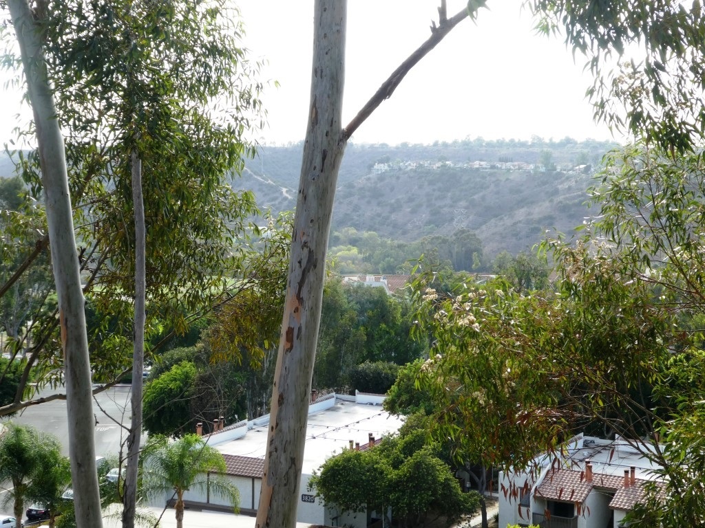 Property Photo: 11229 Cascada Way CA 92124