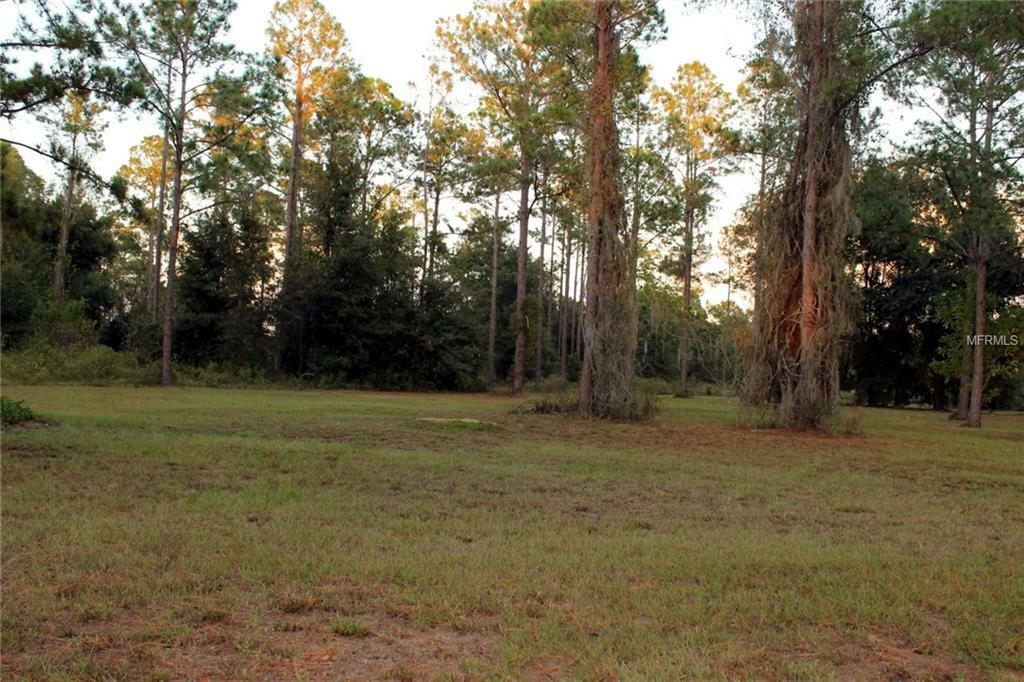 Property Photo:  Bonsmara Drive  FL 34736 