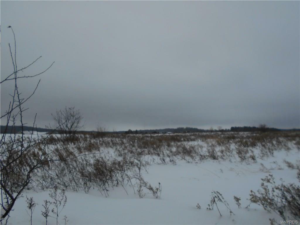 Property Photo: 2991 California Hill Road NY 14042