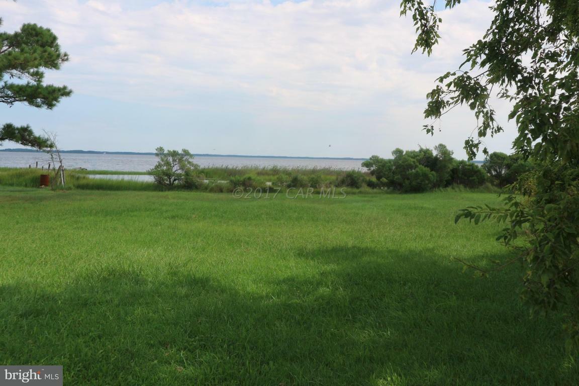 11646 Long Point Road  Deal Island MD 21821 photo