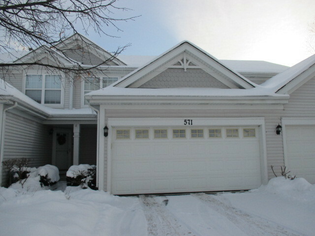 Property Photo:  571 Jennifer Circle  IL 60060 