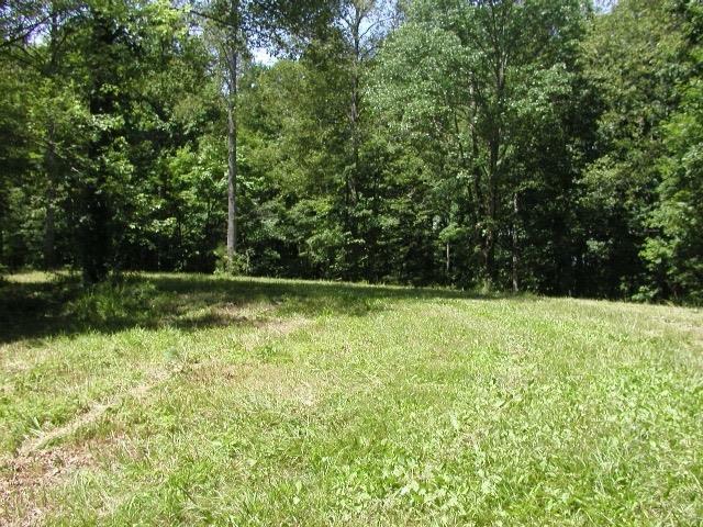 Property Photo:  0 Sams Creek Rd  TN 37143 