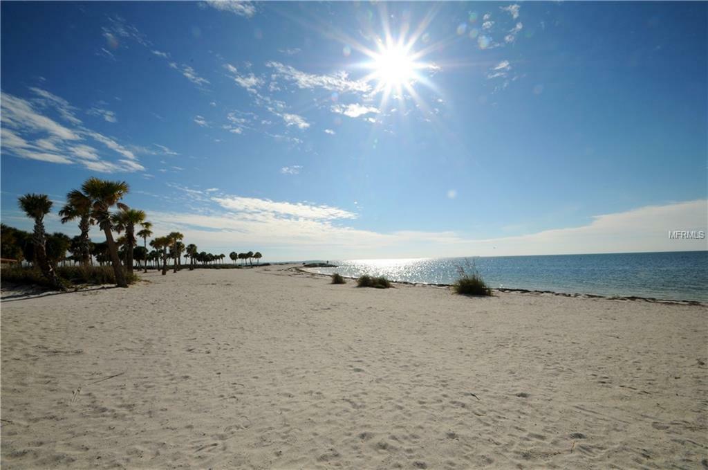 Property Photo:  1625 Explorers Drive  FL 34689 