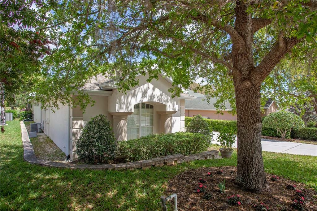 Property Photo: 12303 Forest Highlands Drive FL 33525