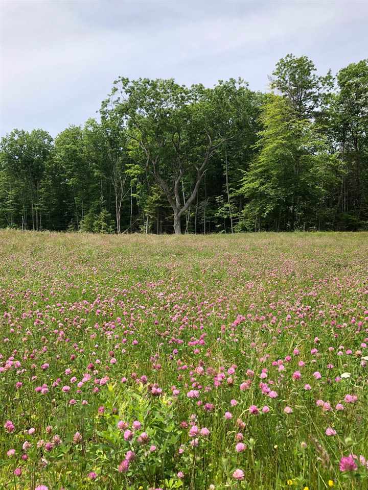 Property Photo: 000 North Sandwich Road NH 03227