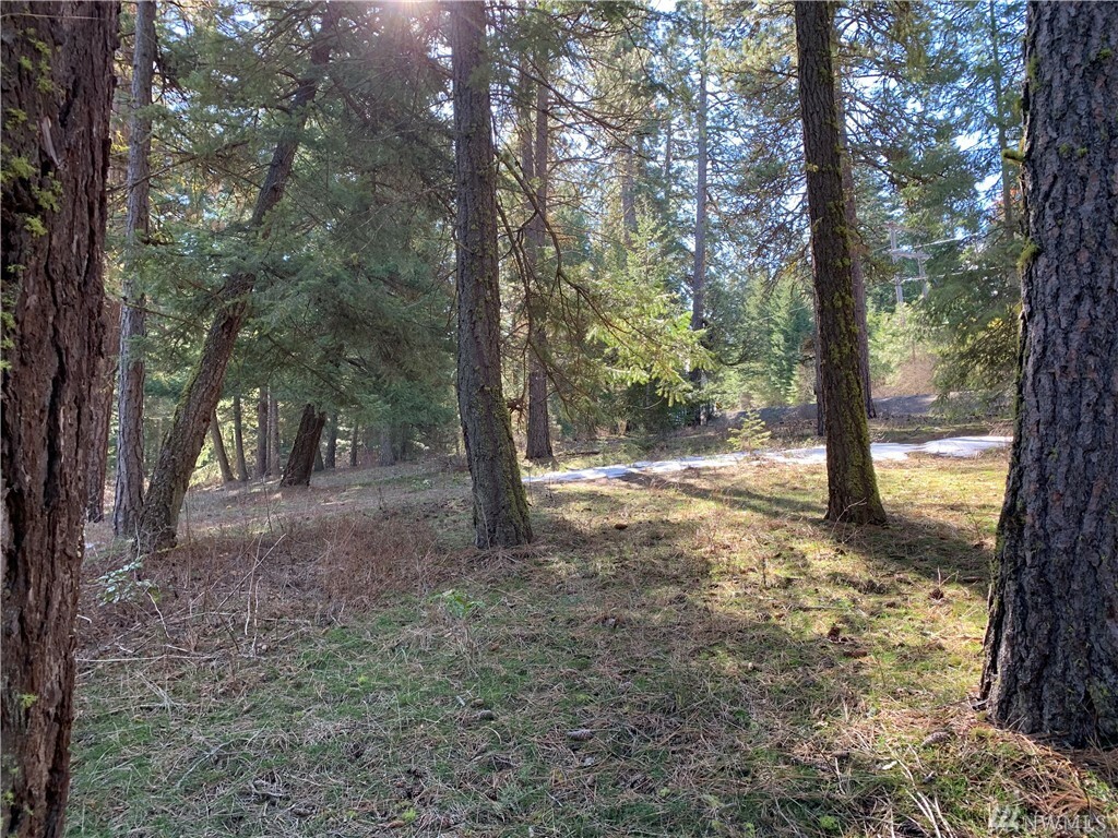 Lot 4 Lower Peoh Point Rd  Cle Elum WA 98922 photo